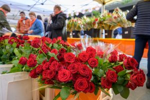Sant Jordi Granollers