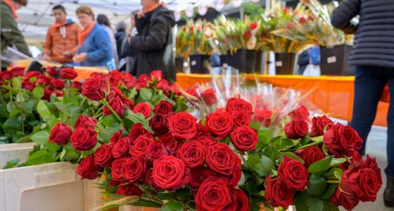 Sant Jordi Granollers