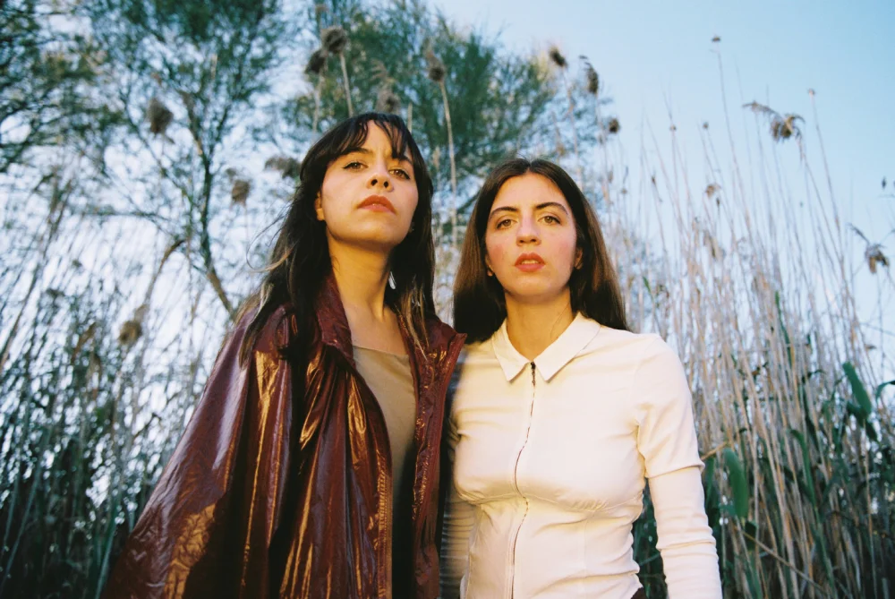 Tarta Relena